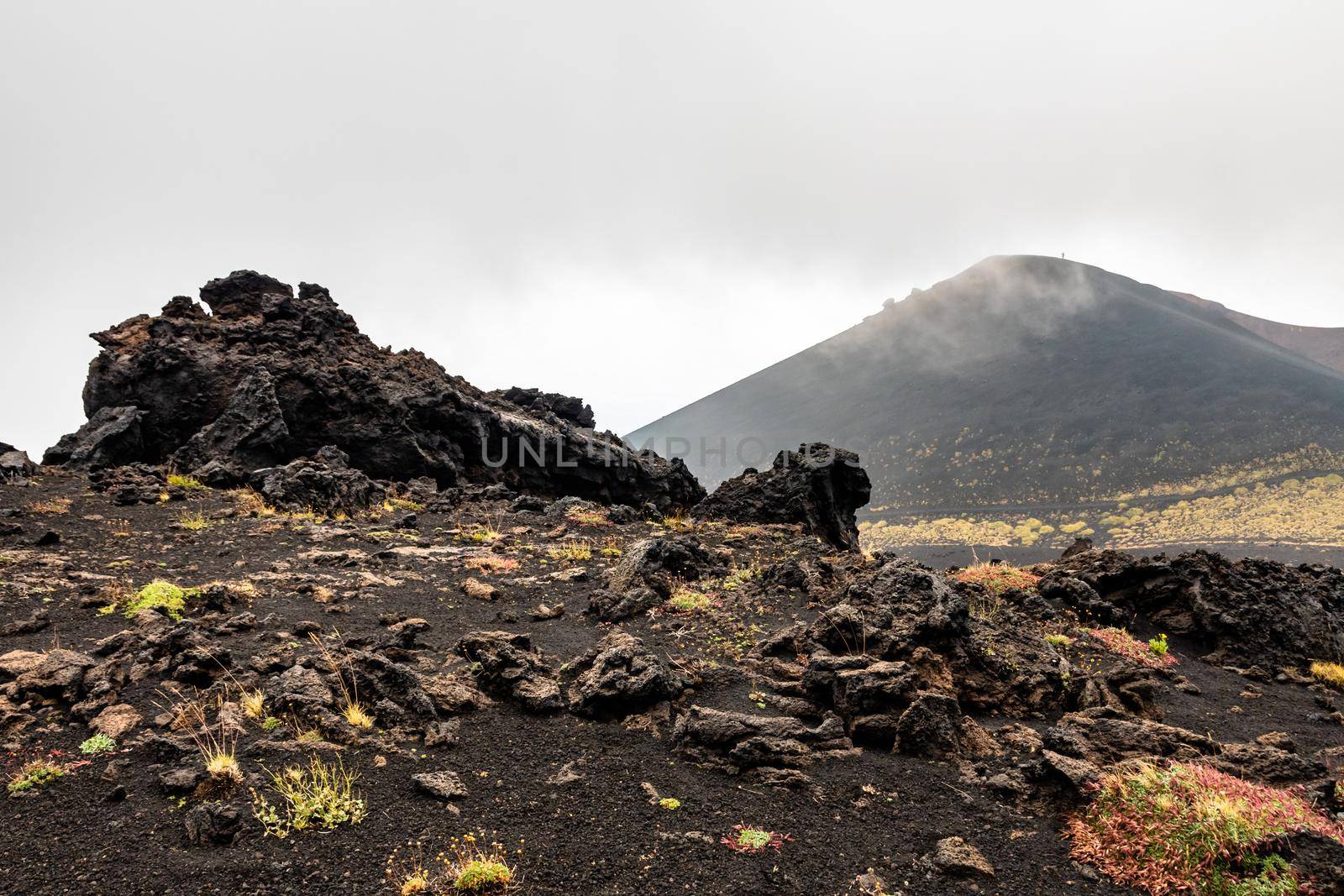 Mount Etna volcanic landscape and its typical vegetation, Sicily by mauricallari