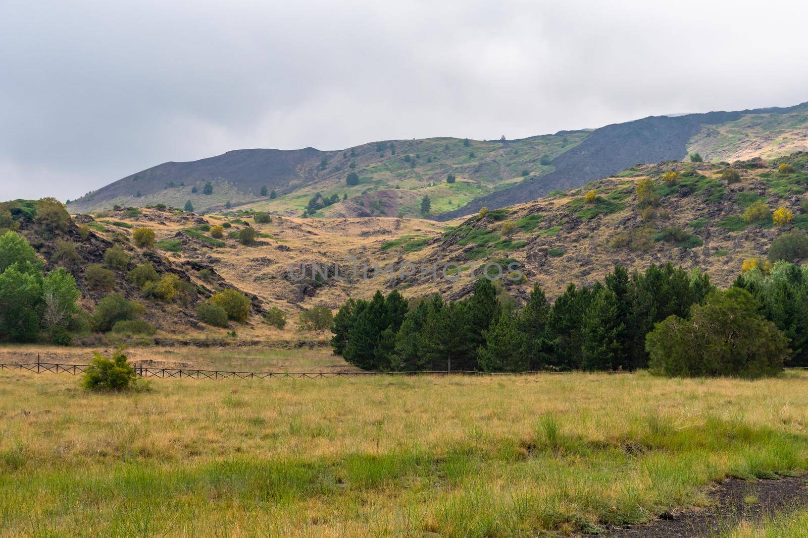 Mount Etna volcanic landscape and its typical summer vegetation by mauricallari