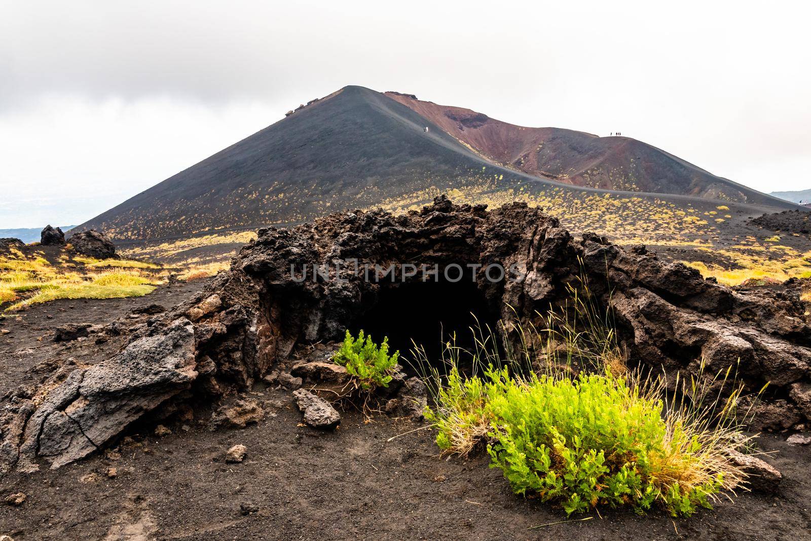 Mount Etna volcanic landscape and its typical summer vegetation by mauricallari
