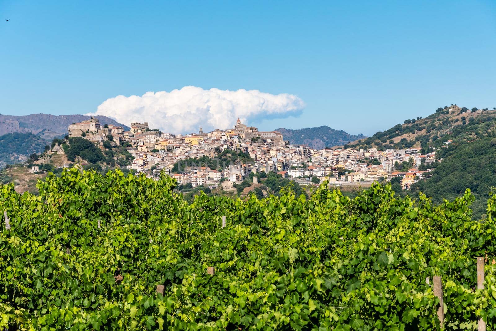 Panoramic view of Castiglione di Sicilia in a sunny summer day, Italy by mauricallari