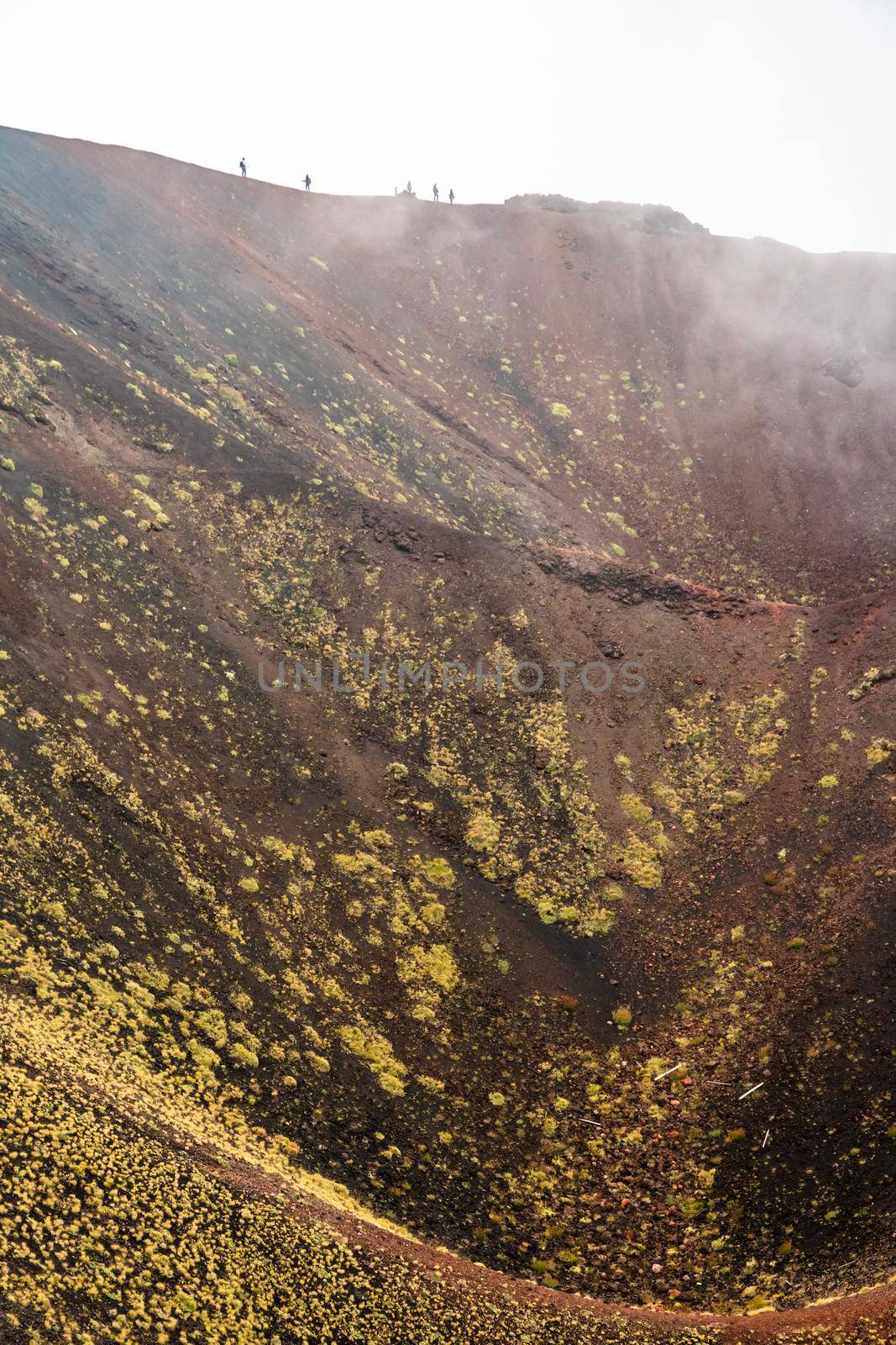 Mount Etna volcanic landscape and its typical vegetation, Sicily by mauricallari