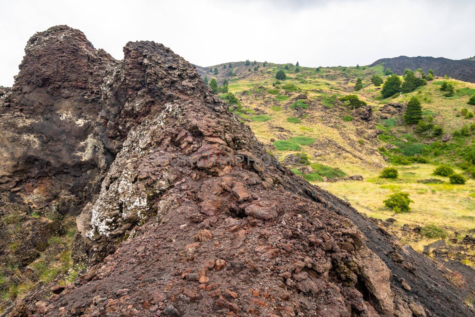 Mount Etna volcanic landscape and its typical summer vegetation by mauricallari