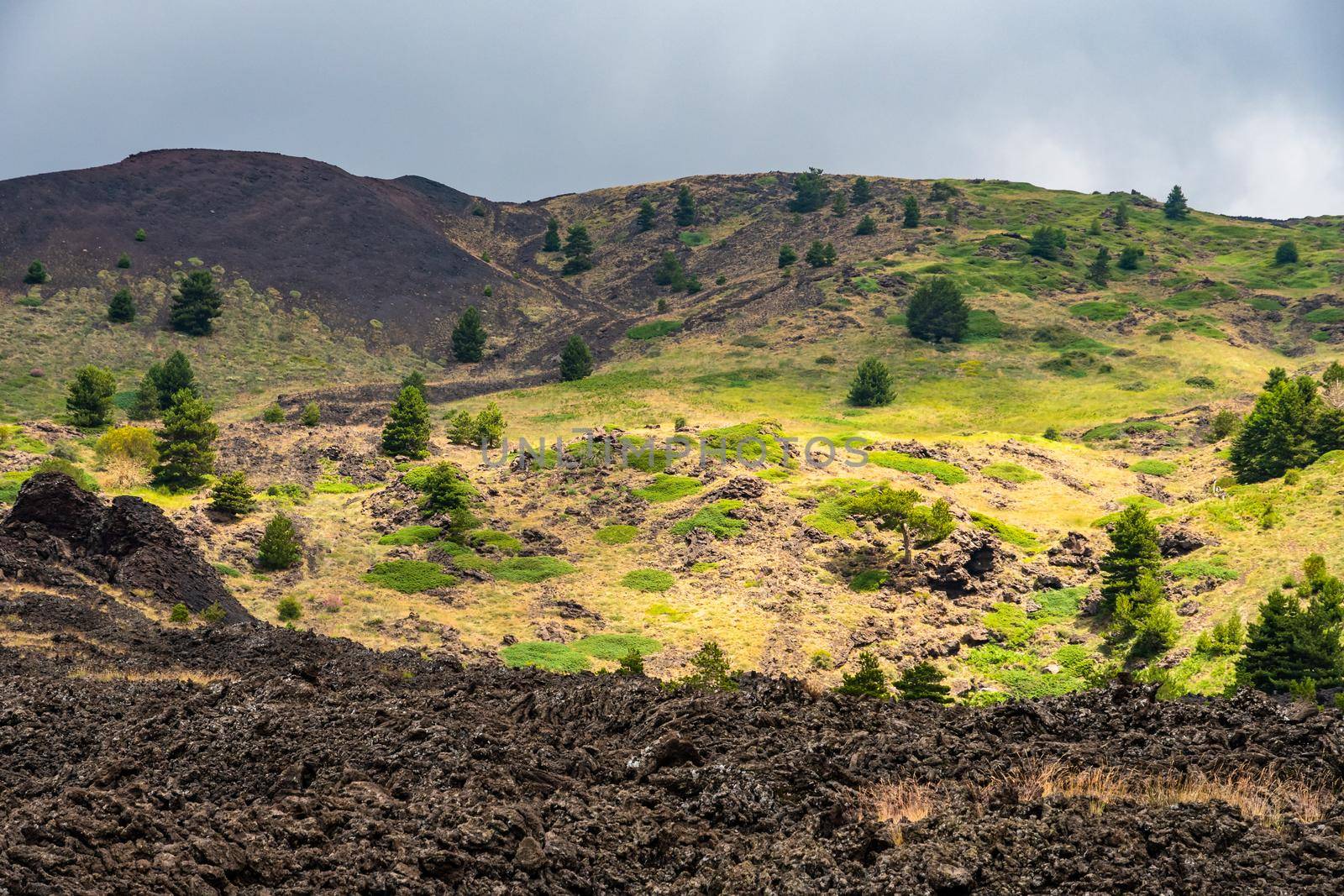 View of Etna volcano landscape among the clouds near Rifugio Sapienza. The typical summer vegetation and flowers partially cover the lava flow. Sicily, Italy