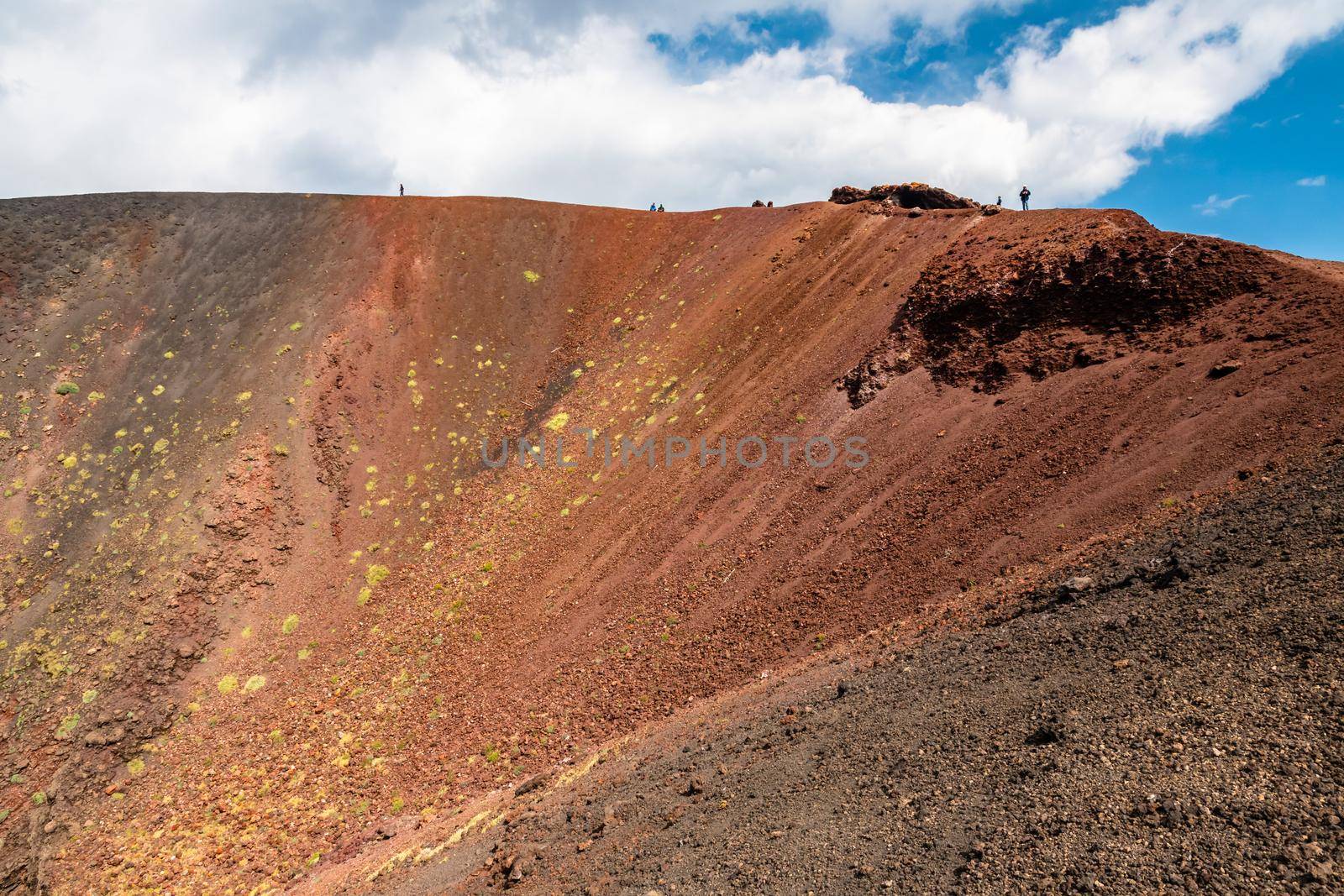 Mount Etna volcanic landscape and its typical vegetation, Sicily by mauricallari