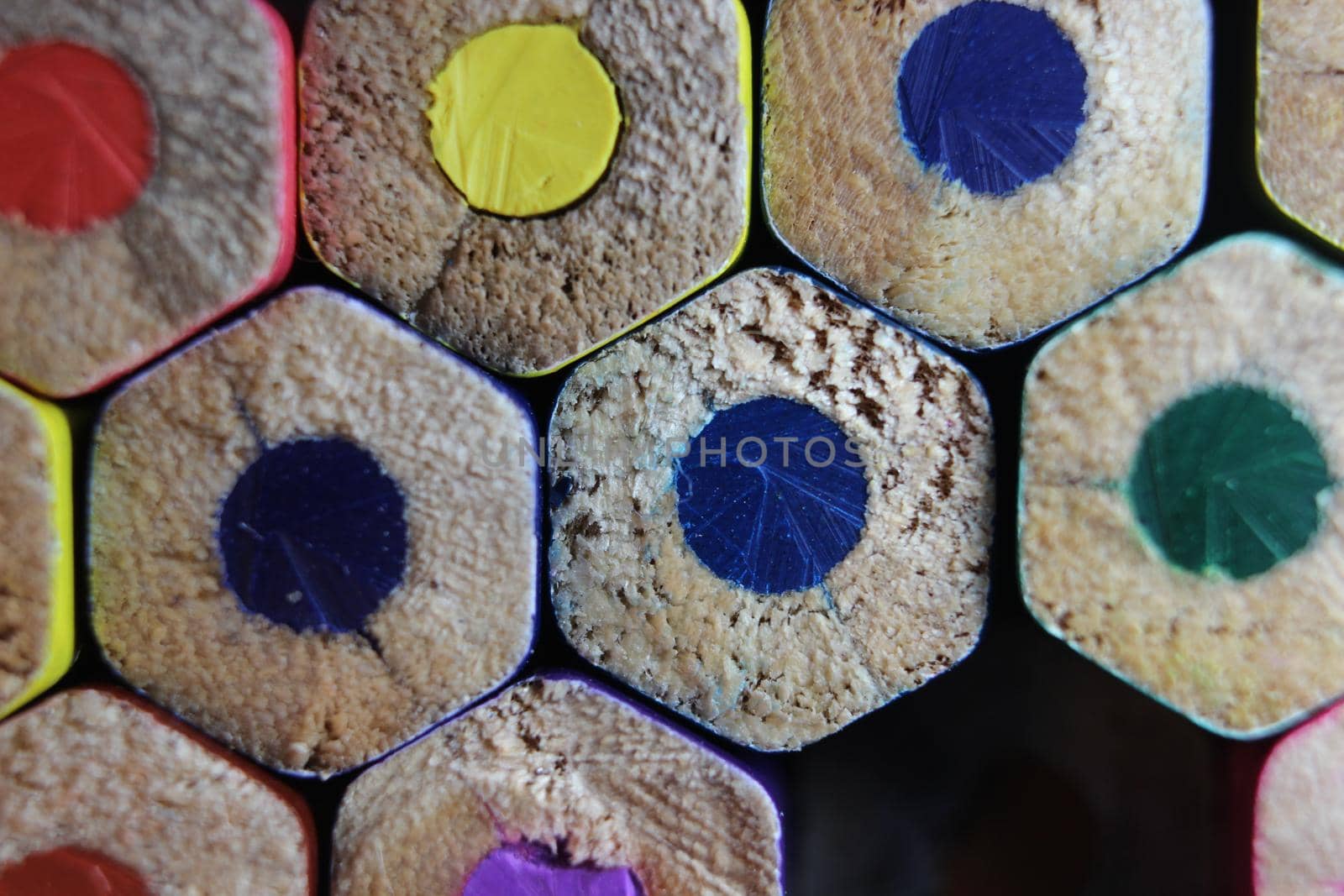 Multicolored pencils bottom macro view closeup background. by Photochowk