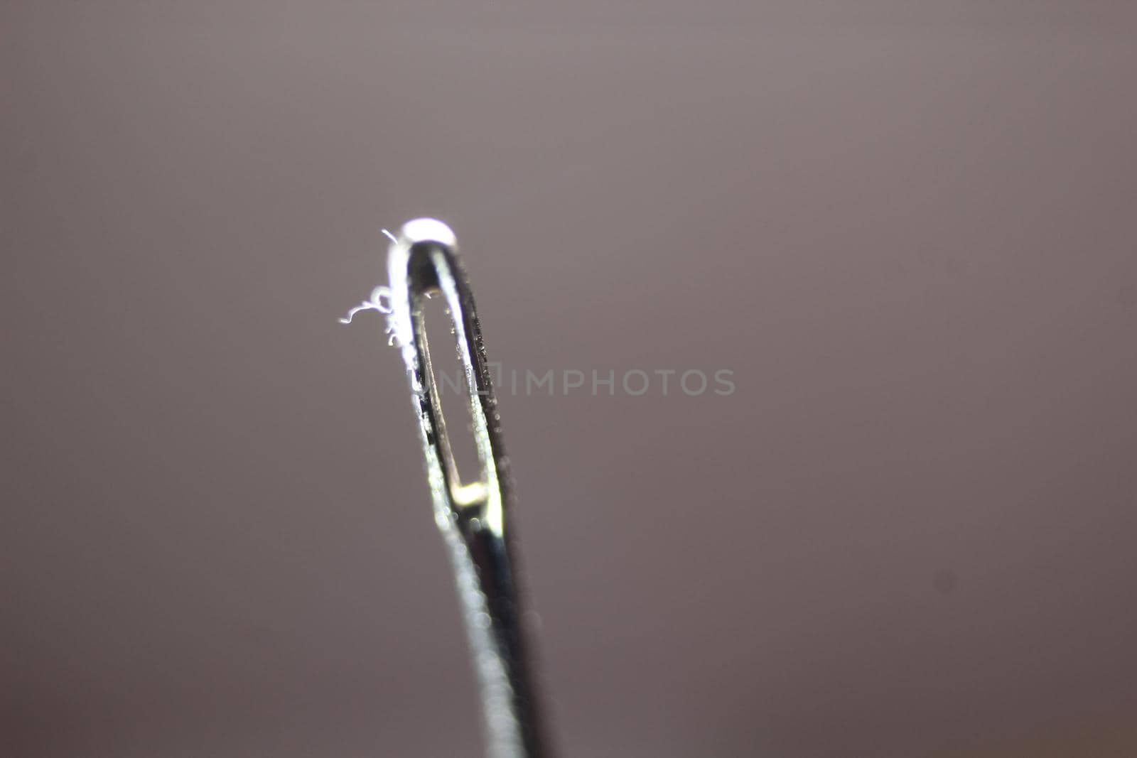 Small needle with empty eyelet, isolated over the black background. by Photochowk