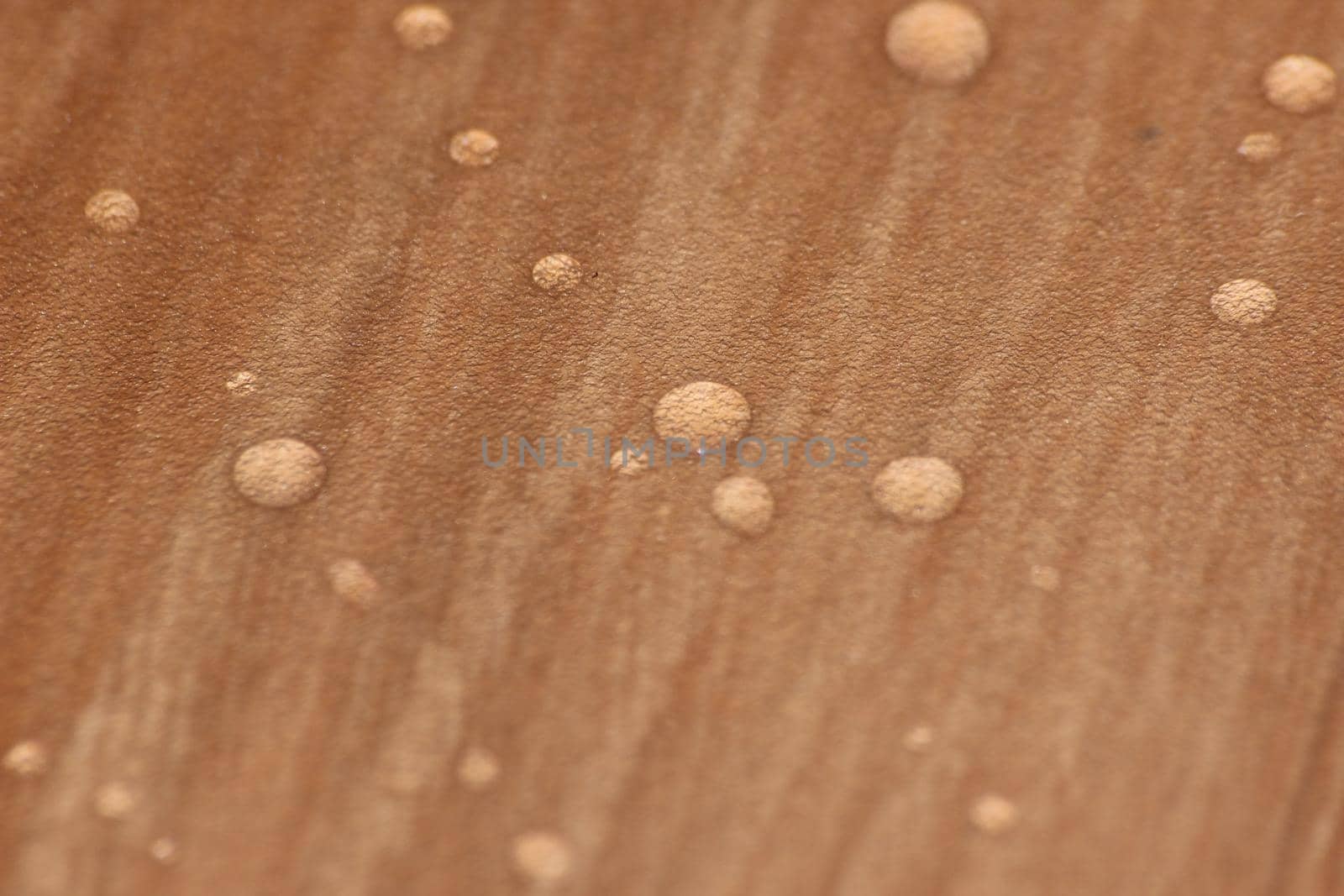 Closeup selective focus view of water drops on wooden floor. Abstract raindrops pattern on wooden board