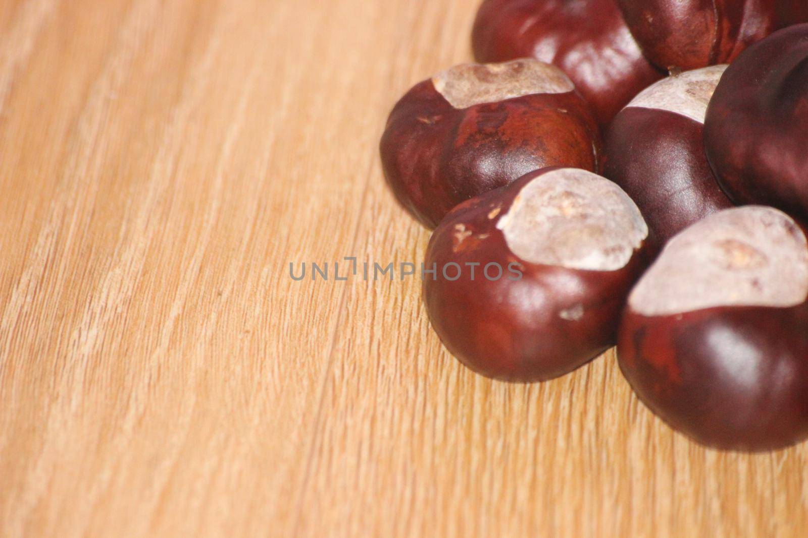 Close-Up of bunch of dried chestnut fruits over wooden background. by Photochowk