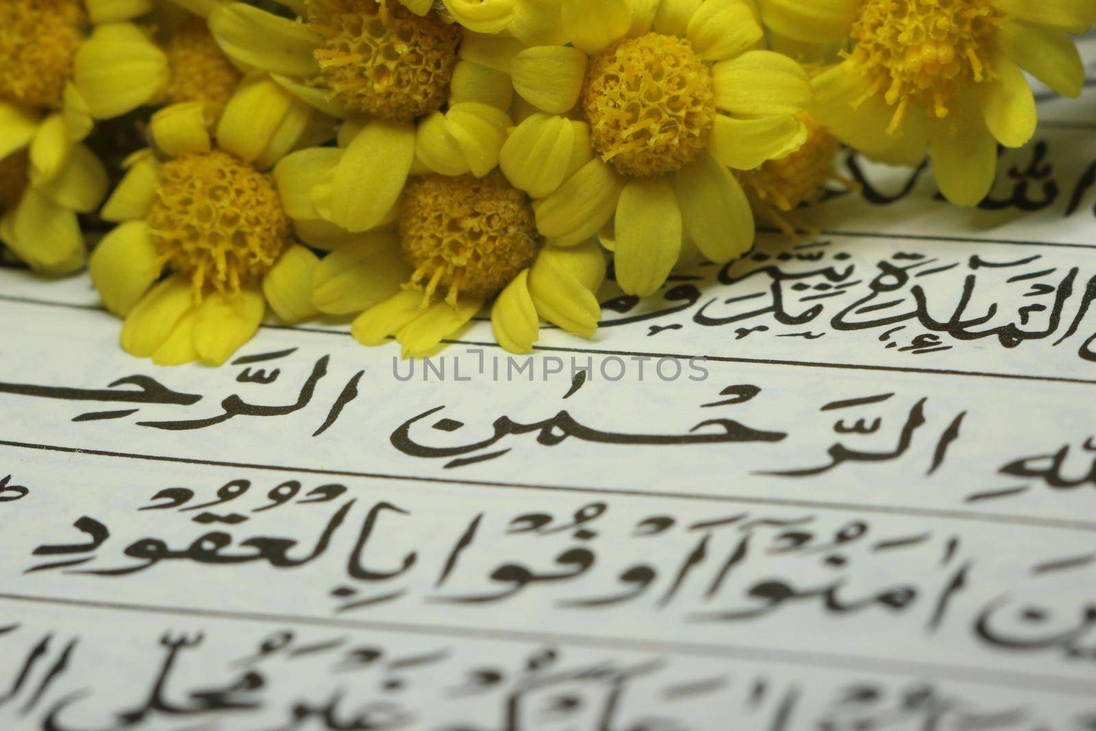 Chuncheon South Korea 24th October 2020: Closeup shot of Islamic Book Quran with golden arabic calligraphy that means Al-Quran, the Holy Quran