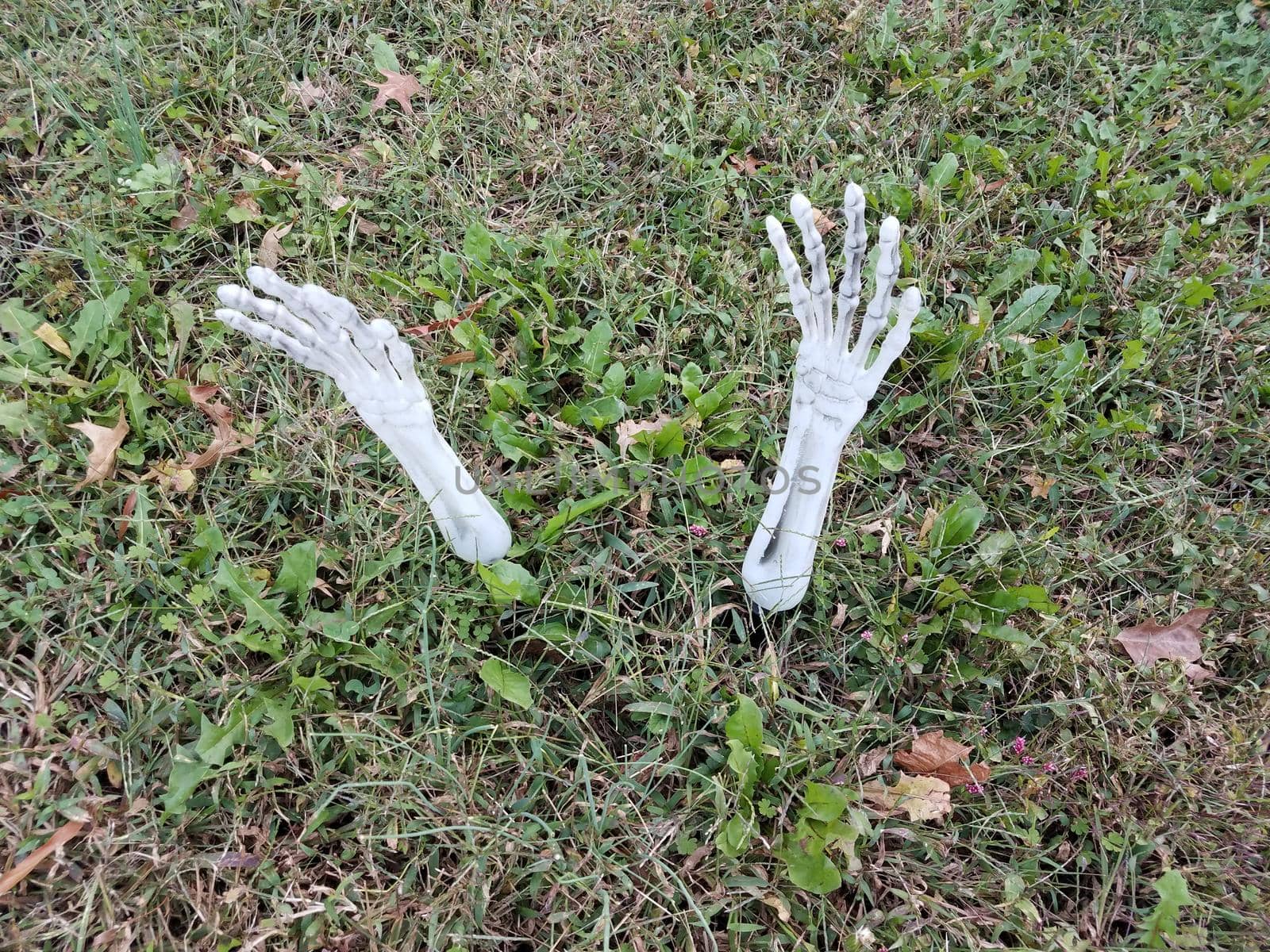 skeleton hands from the ground on lawn Halloween decorations