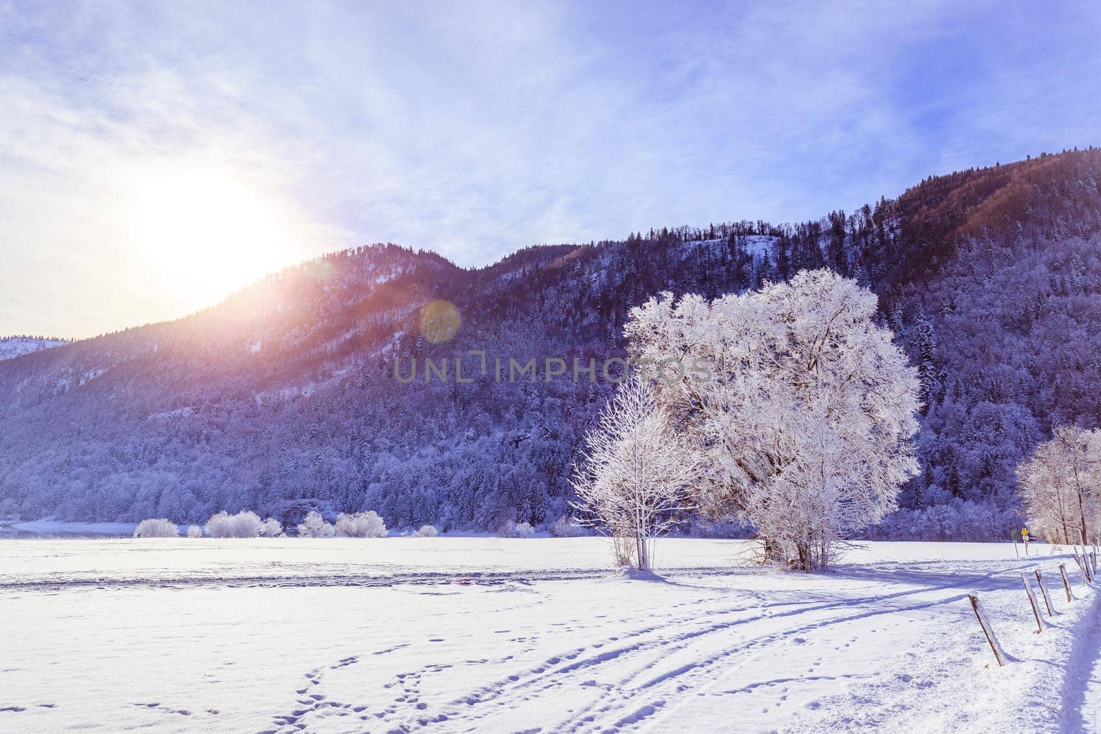 Idyllic winter landscape: snowy trees and fields, mountain range in background