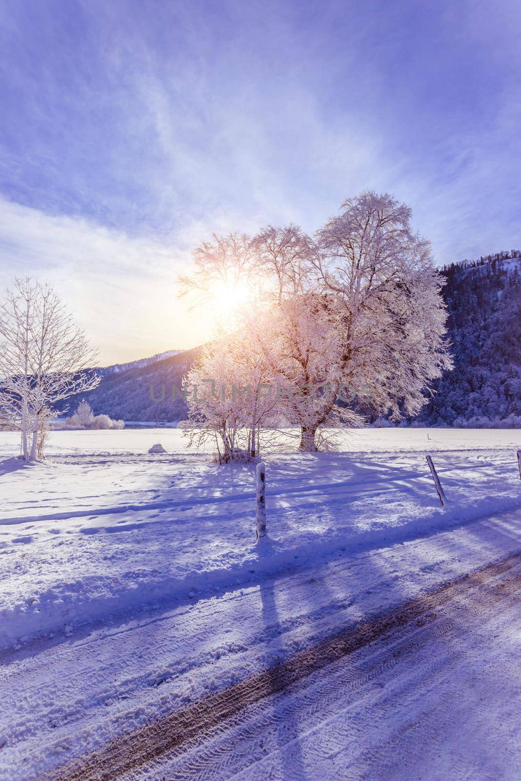 Idyllic winter landscape: snowy trees and fields, mountain range in background