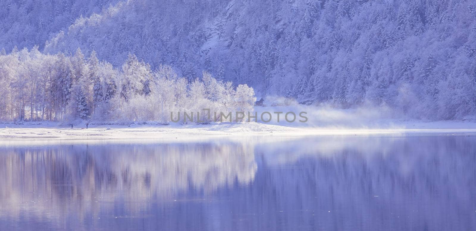 Sunny winter landscape in the alps: Lake Hintersee in Salzburg, snowy trees and mountains by Daxenbichler