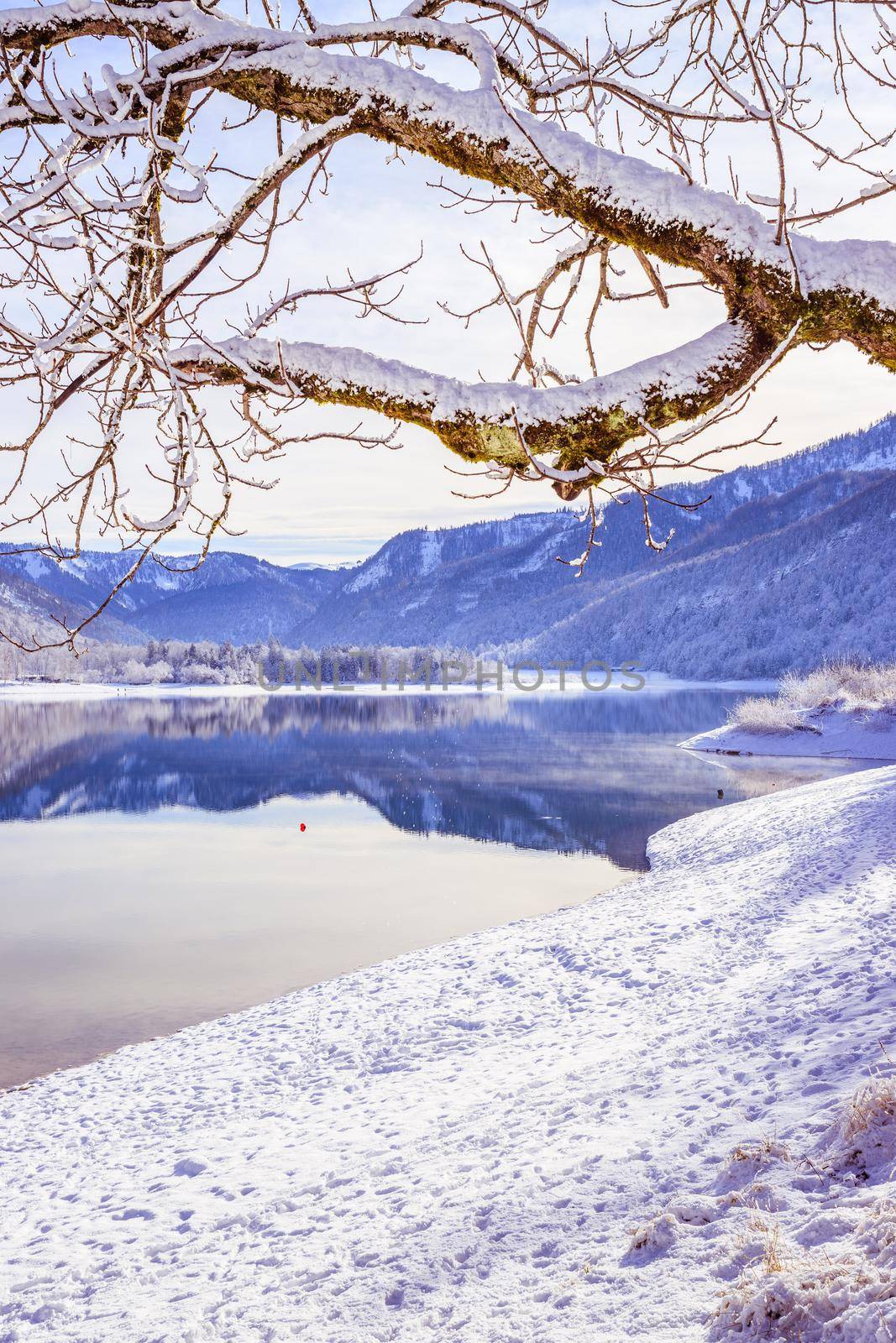 Idyllic winter landscape: Reflection lake, snowy trees and mountains