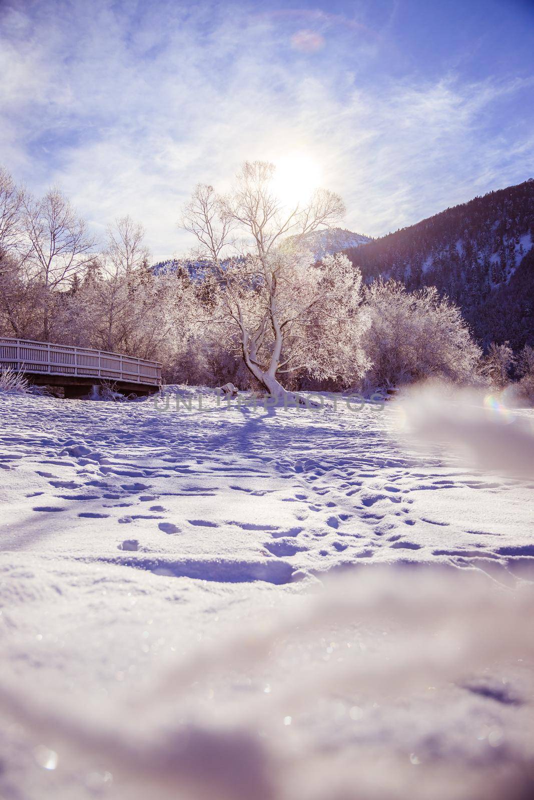 Idyllic winter landscape: wooden bridge and snowy trees, mountain range in background