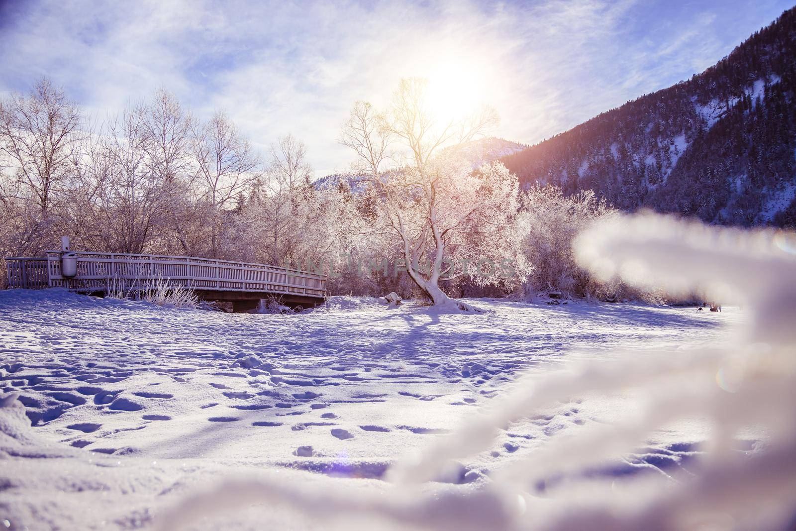 Sunny winter landscape in the alps: Snowy wooden bridge, frosty trees and mountain range by Daxenbichler