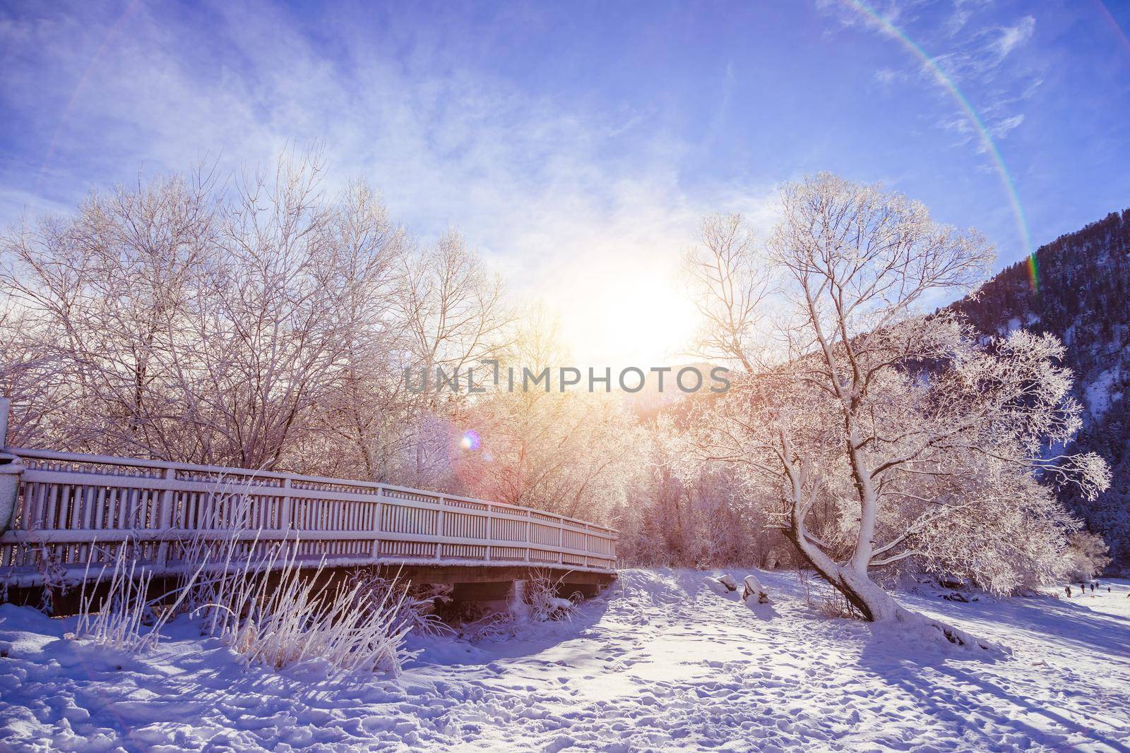 Sunny winter landscape in the alps: Snowy wooden bridge, frosty trees and mountain range by Daxenbichler