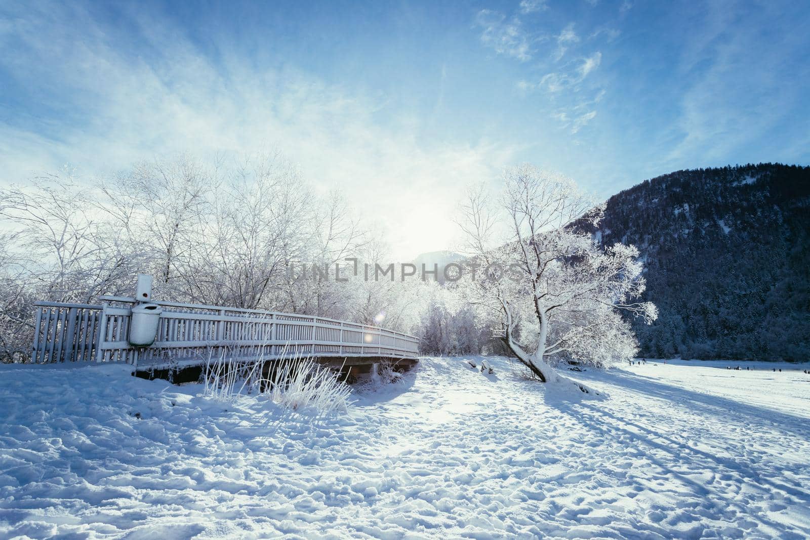 Idyllic winter landscape: wooden bridge and snowy trees, mountain range in background