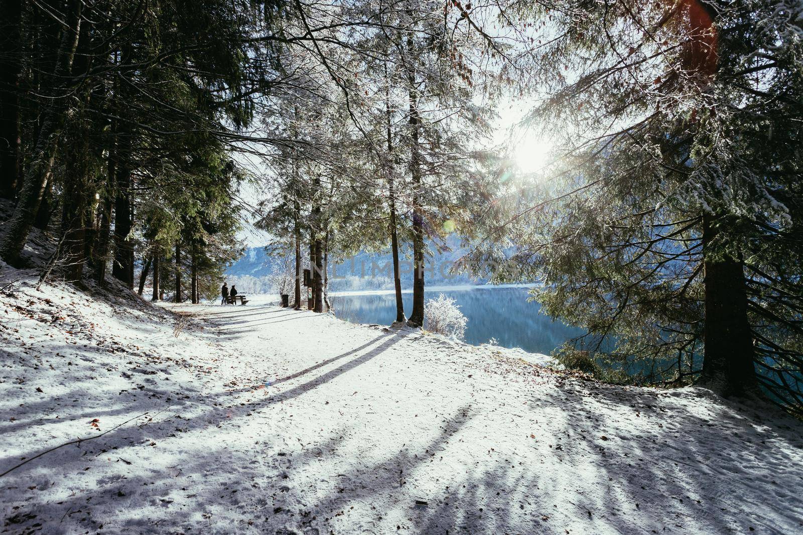 Sunny winter landscape in the nature: Footpath, snowy trees, sunshine and blue sky by Daxenbichler