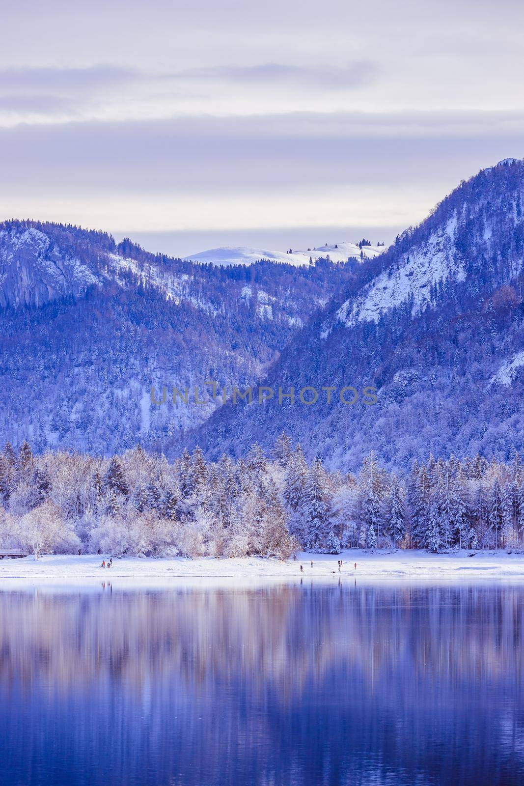 Sunny winter landscape in the alps: Lake Hintersee in Salzburg, snowy trees and mountains by Daxenbichler