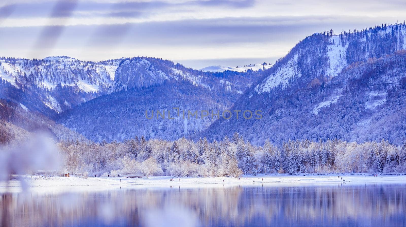 Sunny winter landscape in the alps: Lake Hintersee in Salzburg, snowy trees and mountains by Daxenbichler