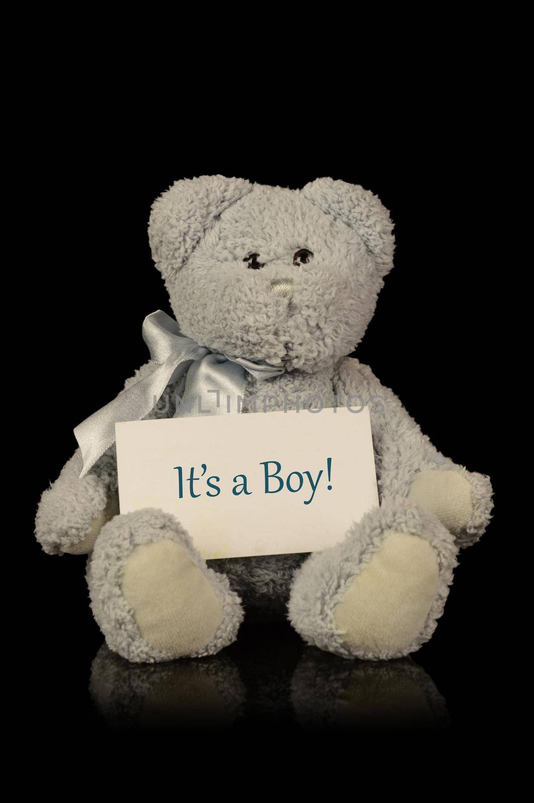 Its A Boy Teddy Bear by AlphaBaby
