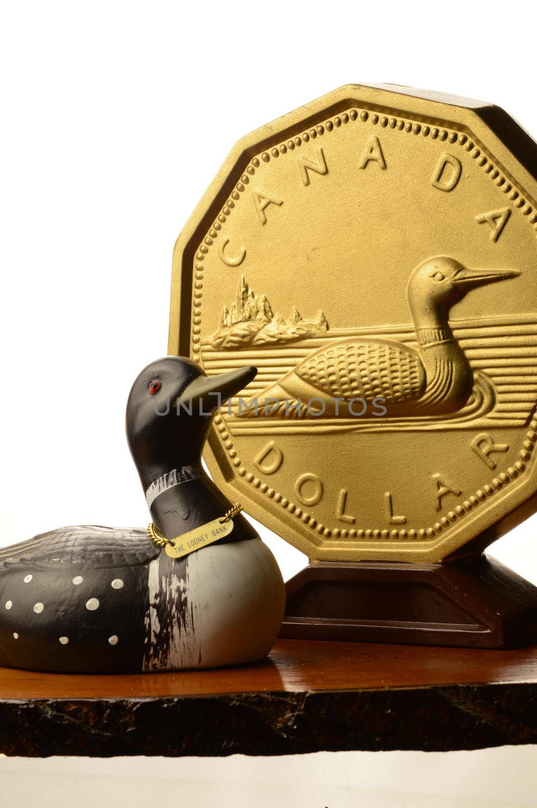 A focused theme on the Canadian Dollar currency with a Loonie coin used in the everyday money supply.