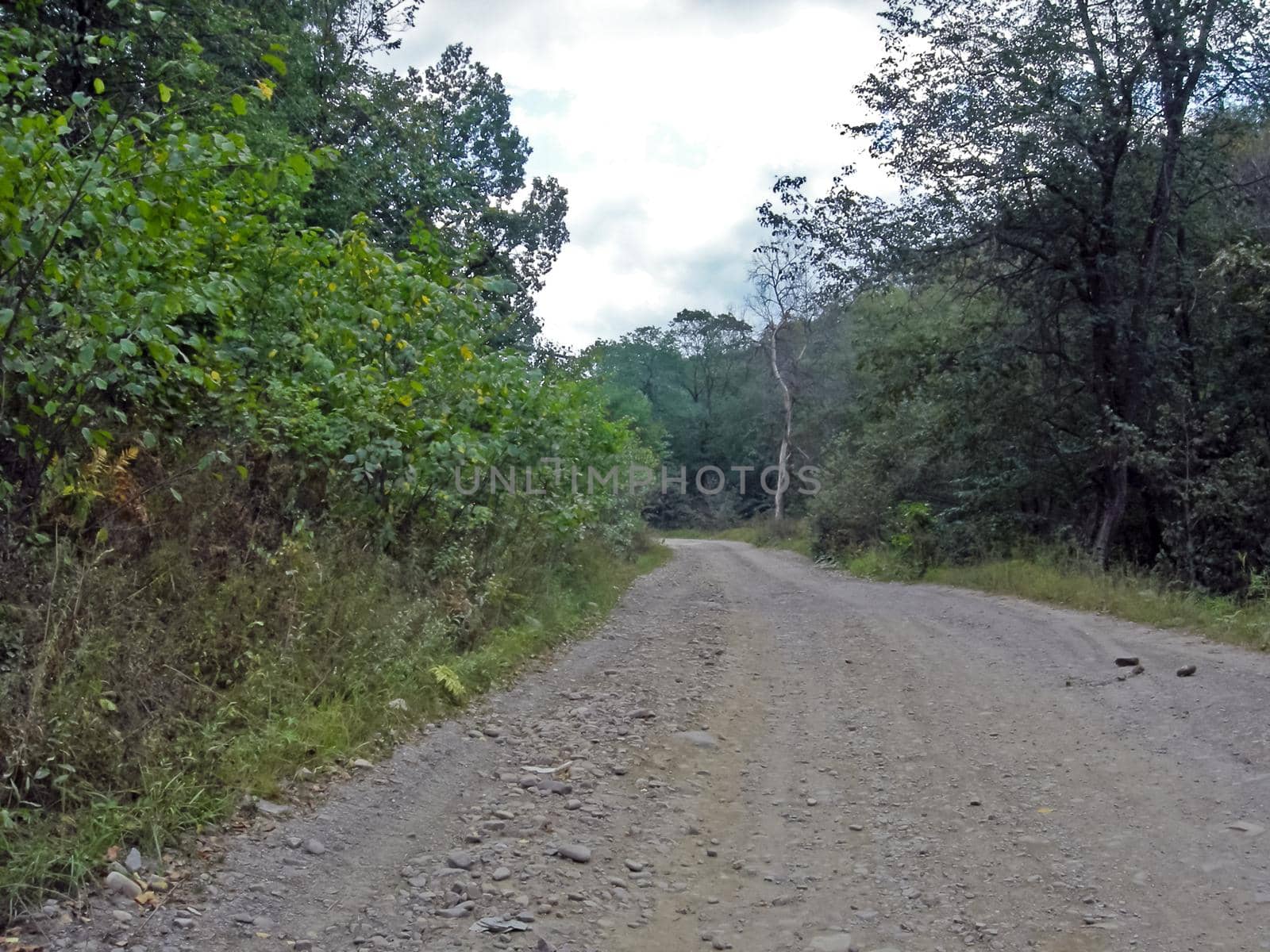 Beloretsky tract. Nature is in the way of the Beloretsky tract. Roads and landscape. by DePo