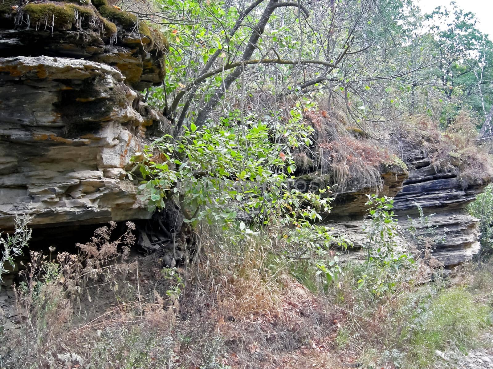 The Beloretsky tract. Nature is in the way of the Beloretsky tract. Roads and landscape.