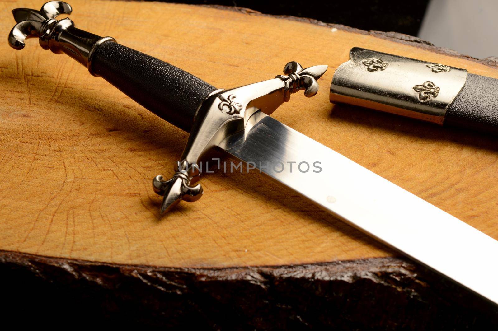 A closeup view of a dagger and sheath resting ontop of a fresh cut piece of wood.