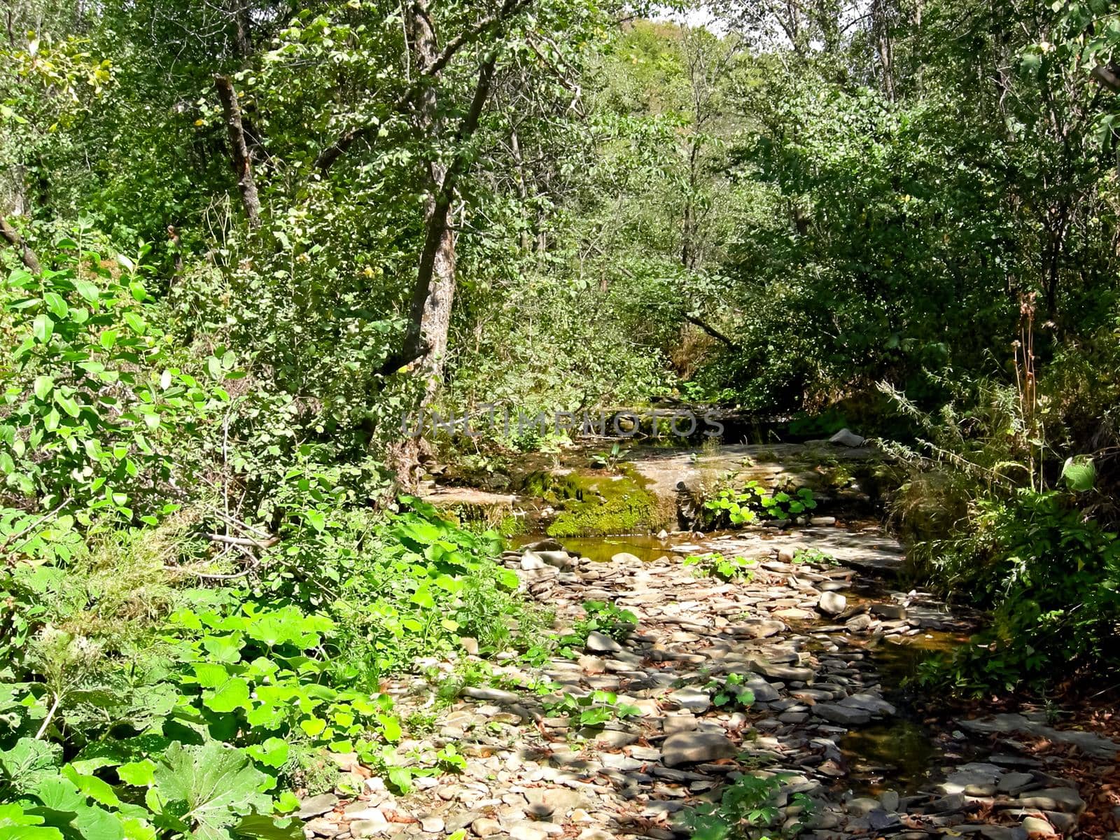 The Beloretsky tract. Nature is in the way of the Beloretsky tract. Roads and landscape.