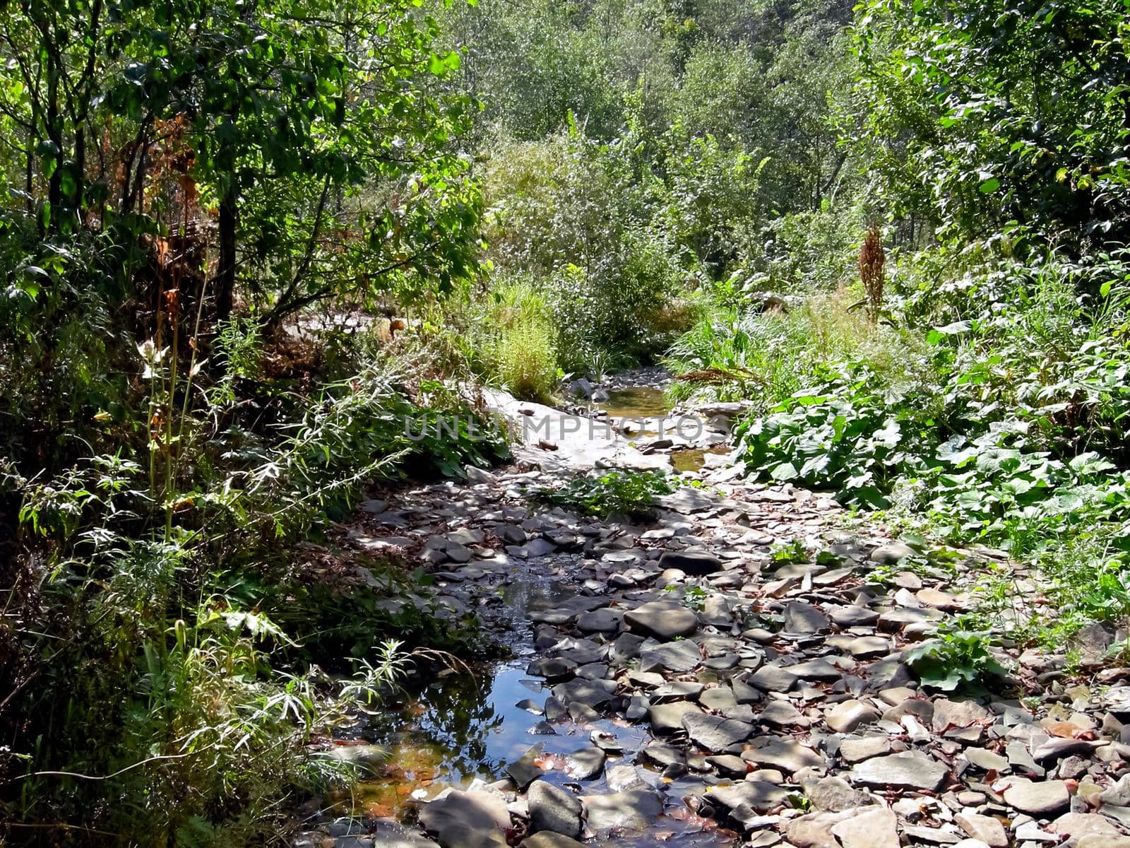 The Beloretsky tract. Nature is in the way of the Beloretsky tract. Roads and landscape.