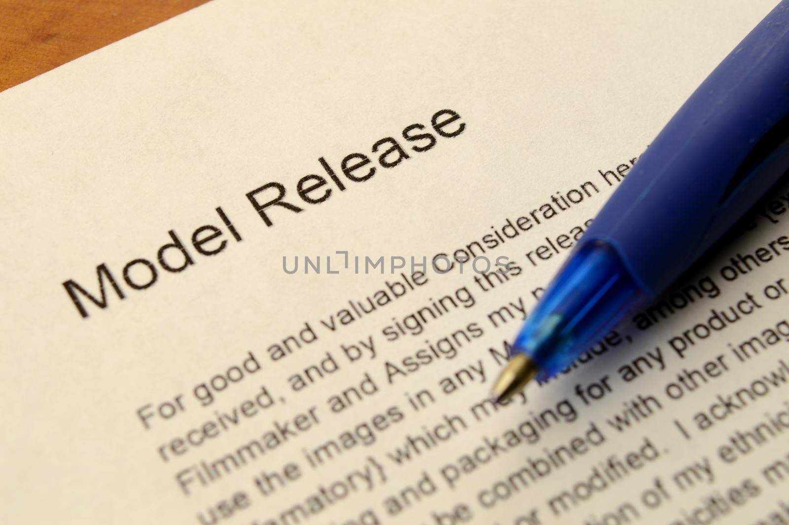 Model Release Form by AlphaBaby