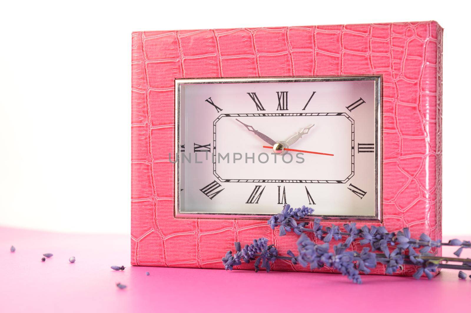 Pink Alligator Clock by AlphaBaby