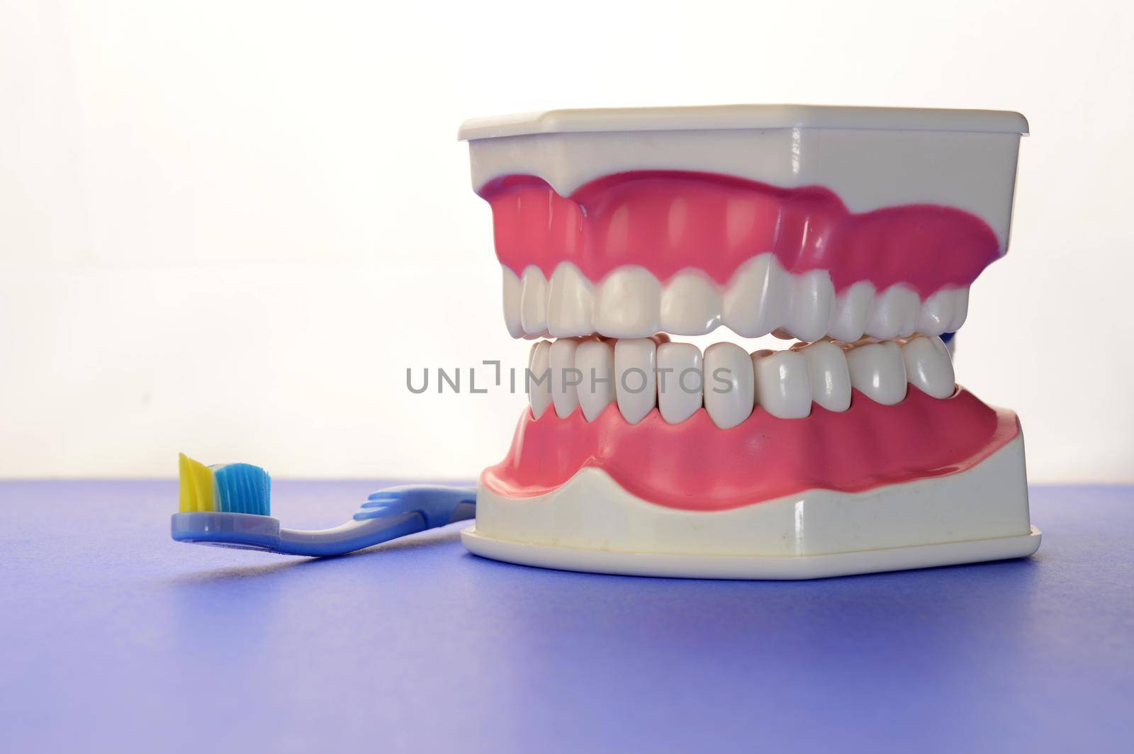 A dental tooth model and blue toothbrush remind us to brush our teeth.