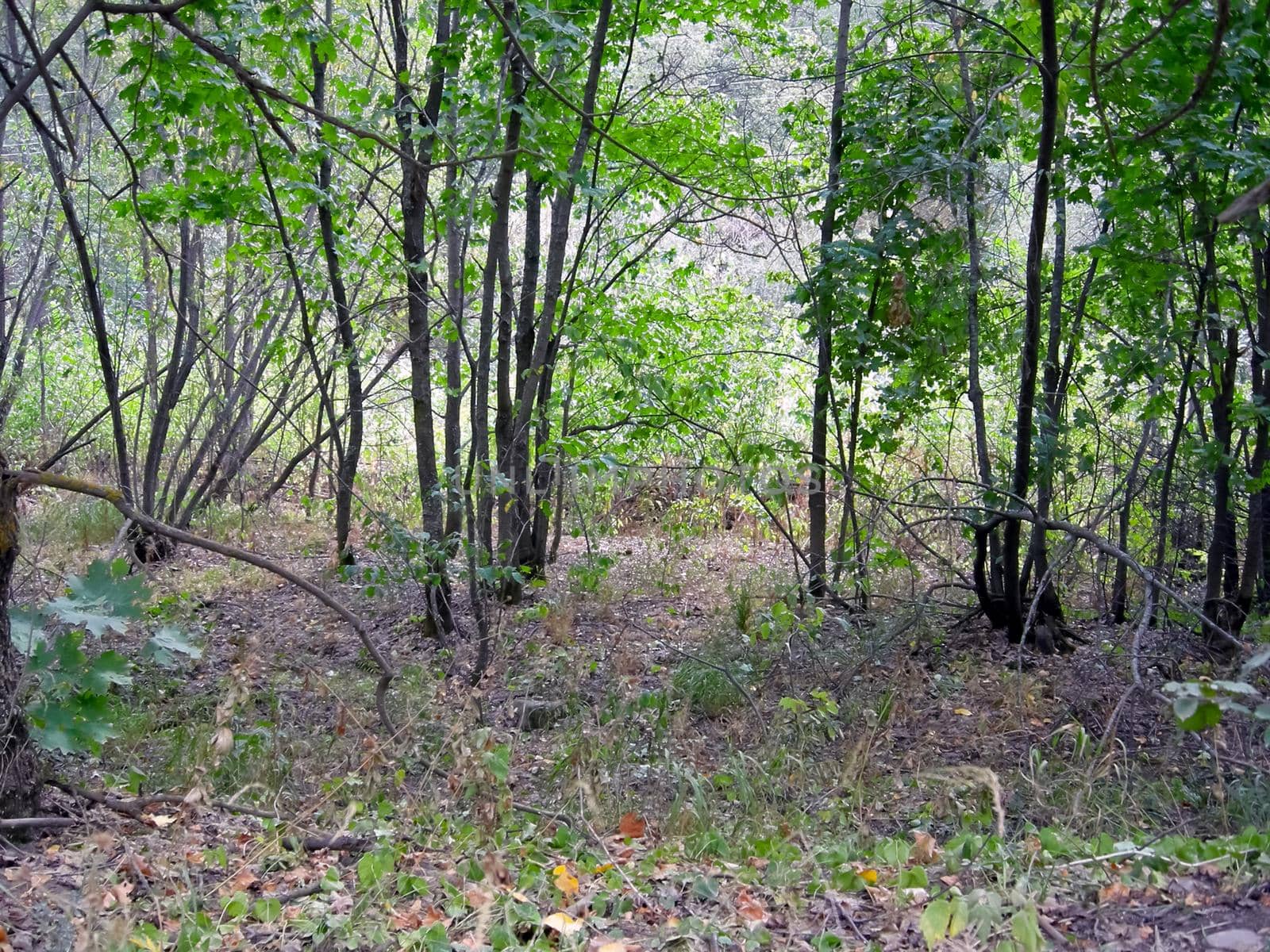 The Beloretsky tract. Nature is in the way of the Beloretsky tract. Roads and landscape.