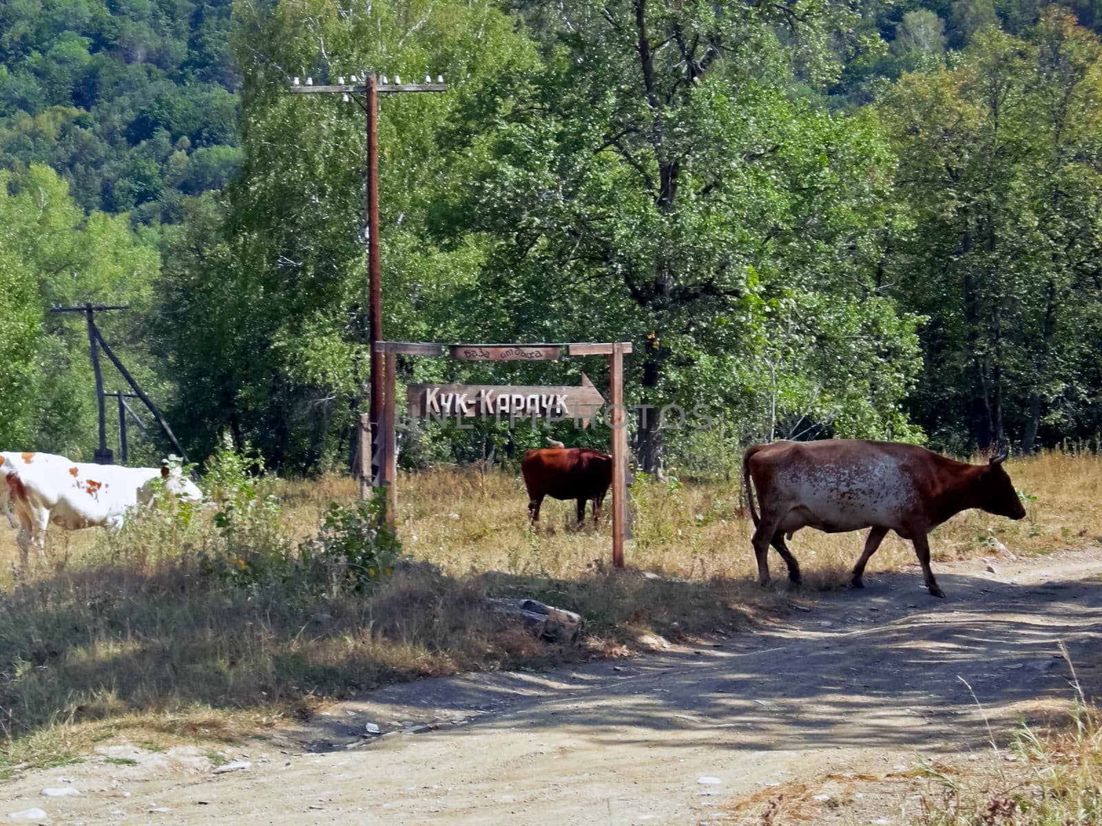 Beloretsky tract. Nature is in the way of the Beloretsky tract. Roads and landscape. by DePo