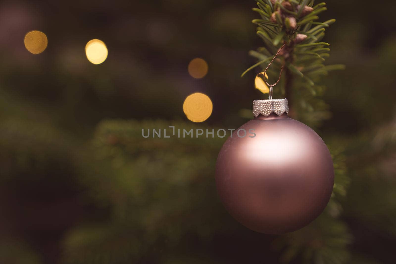 festive decoration on the Christmas tree.