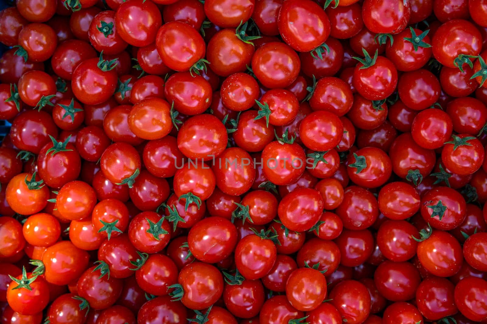 background from red ripe tomatoes grown without chemistry.