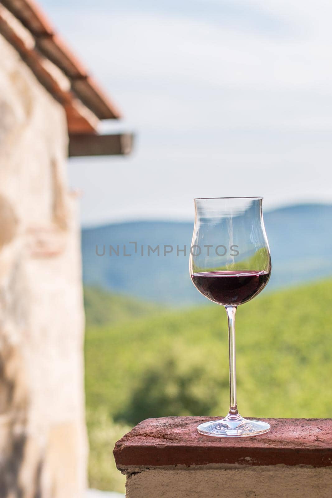 Enjoying a glass of red wine at Tuscany, Italy. Blurry wine yards in the background.