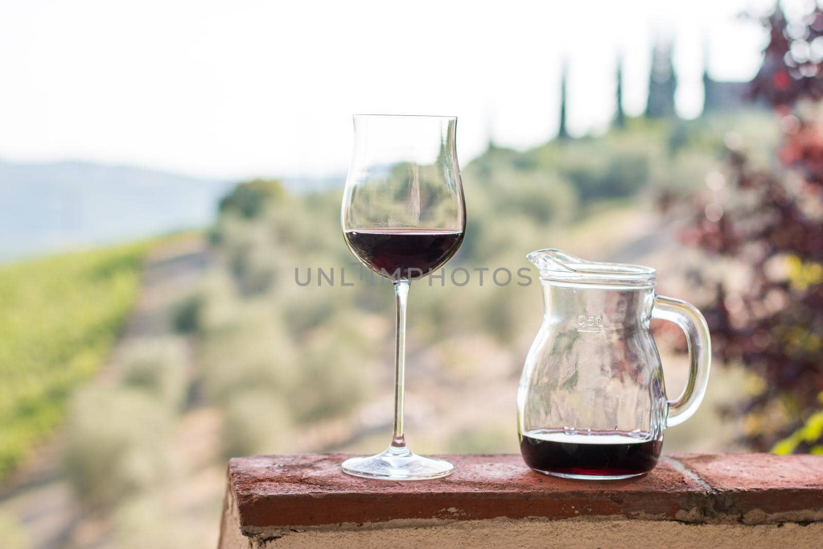 Glass of red wine at Tuscany. Wine yards in the background. by Daxenbichler