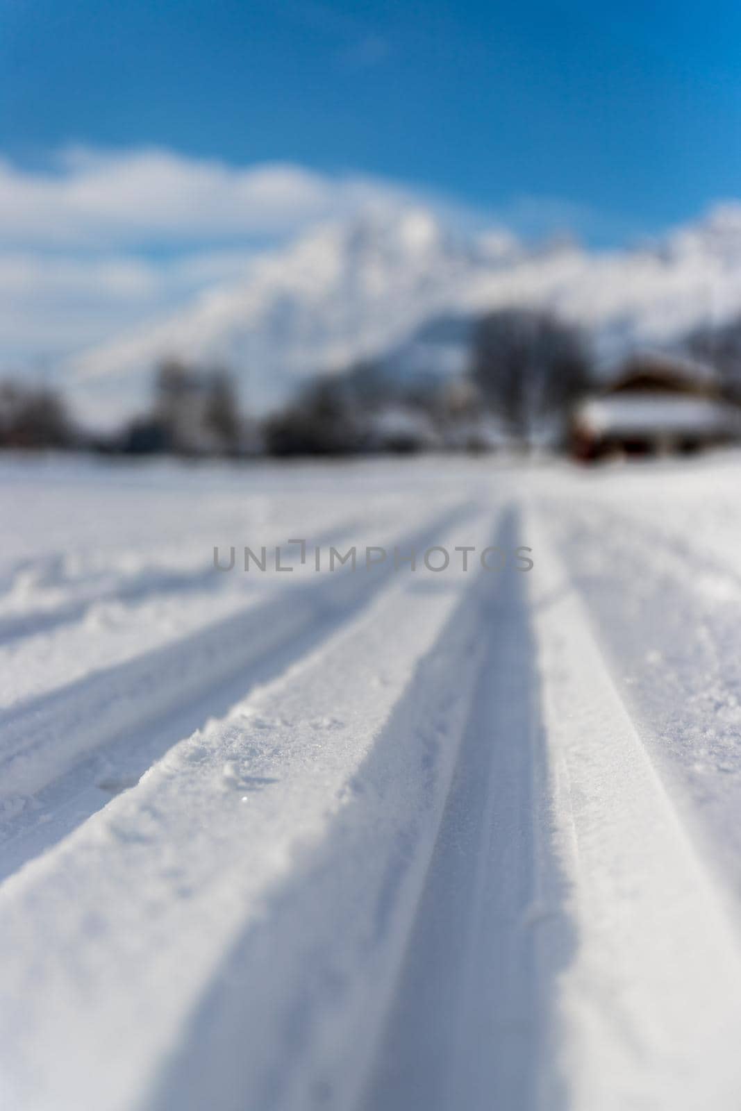 Cross-country skiing in Austria: Slope, fresh white powder snow and mountains, blurry background by Daxenbichler