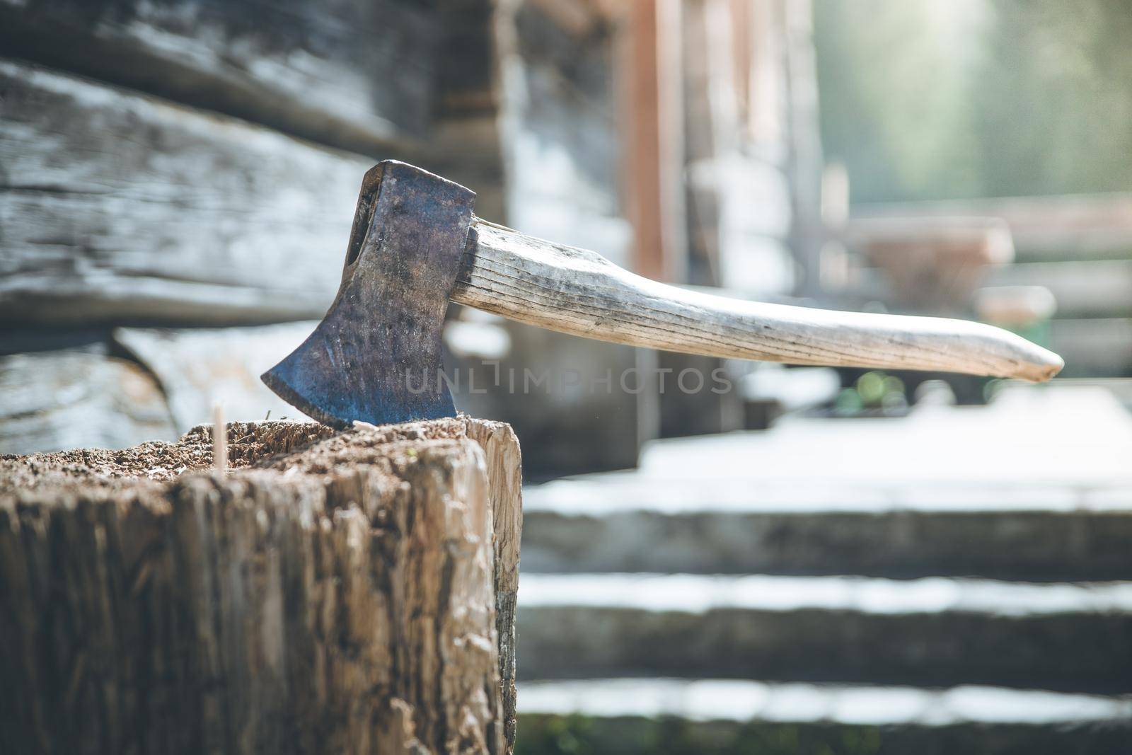 Getting wood for fire: axe attached to a tree trunk by Daxenbichler