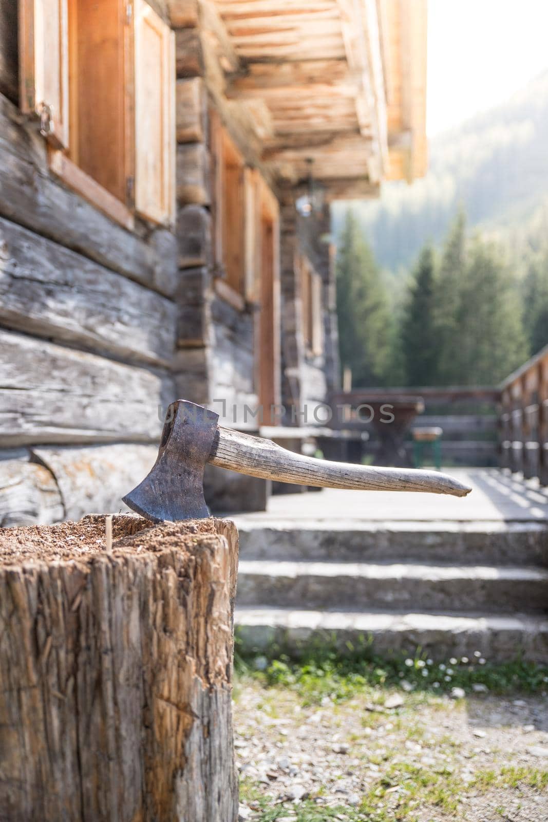 Getting wood for fire: axe attached to a tree trunk by Daxenbichler