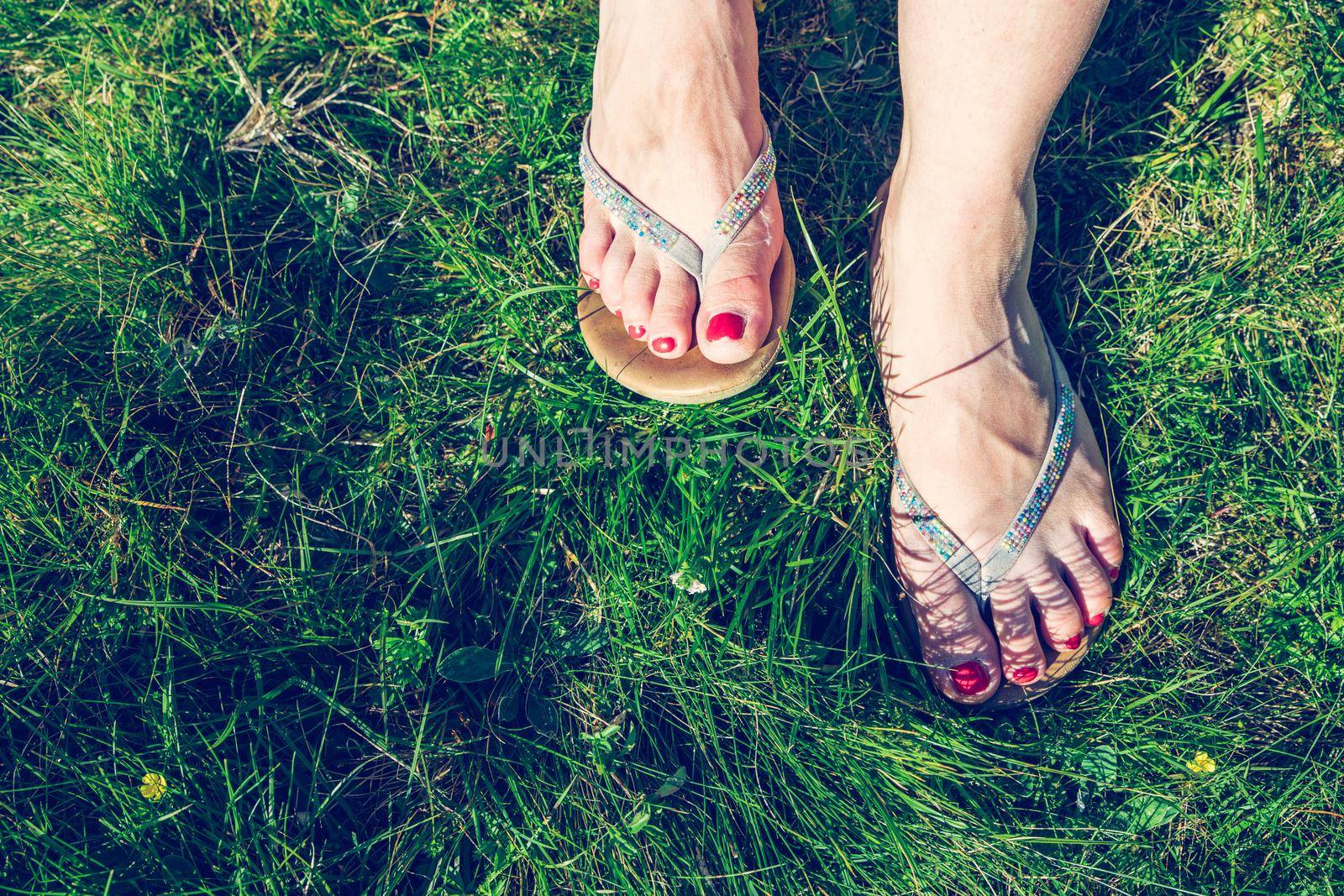 Closeup of flip flops or sandal on green grass, red nail polish