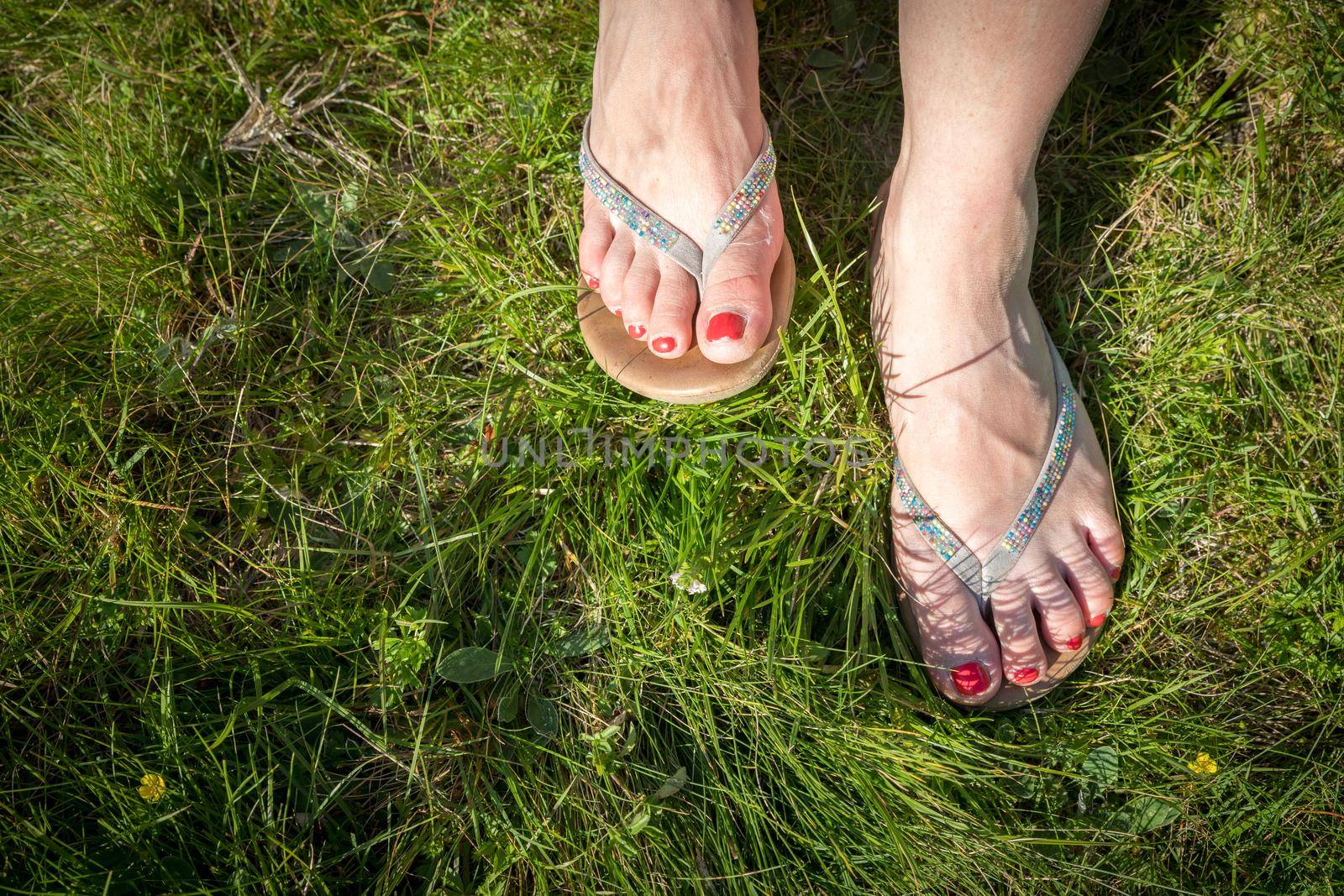 Closeup of flip flops or sandal on green grass, red nail polish