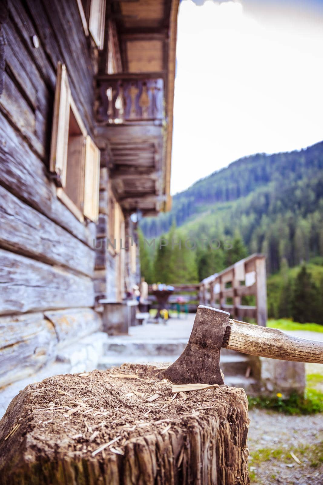 Old axe attached to a tree trunk, alpine hut