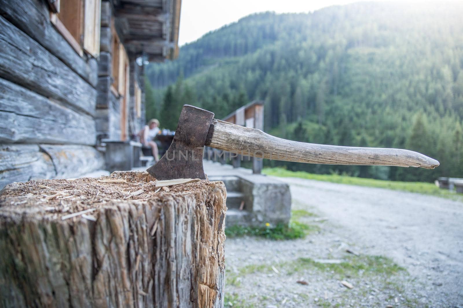 Old axe attached to a tree trunk, alpine hut