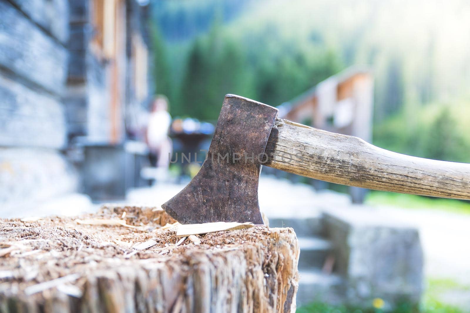 Getting wood for fire: axe attached to a tree trunk by Daxenbichler