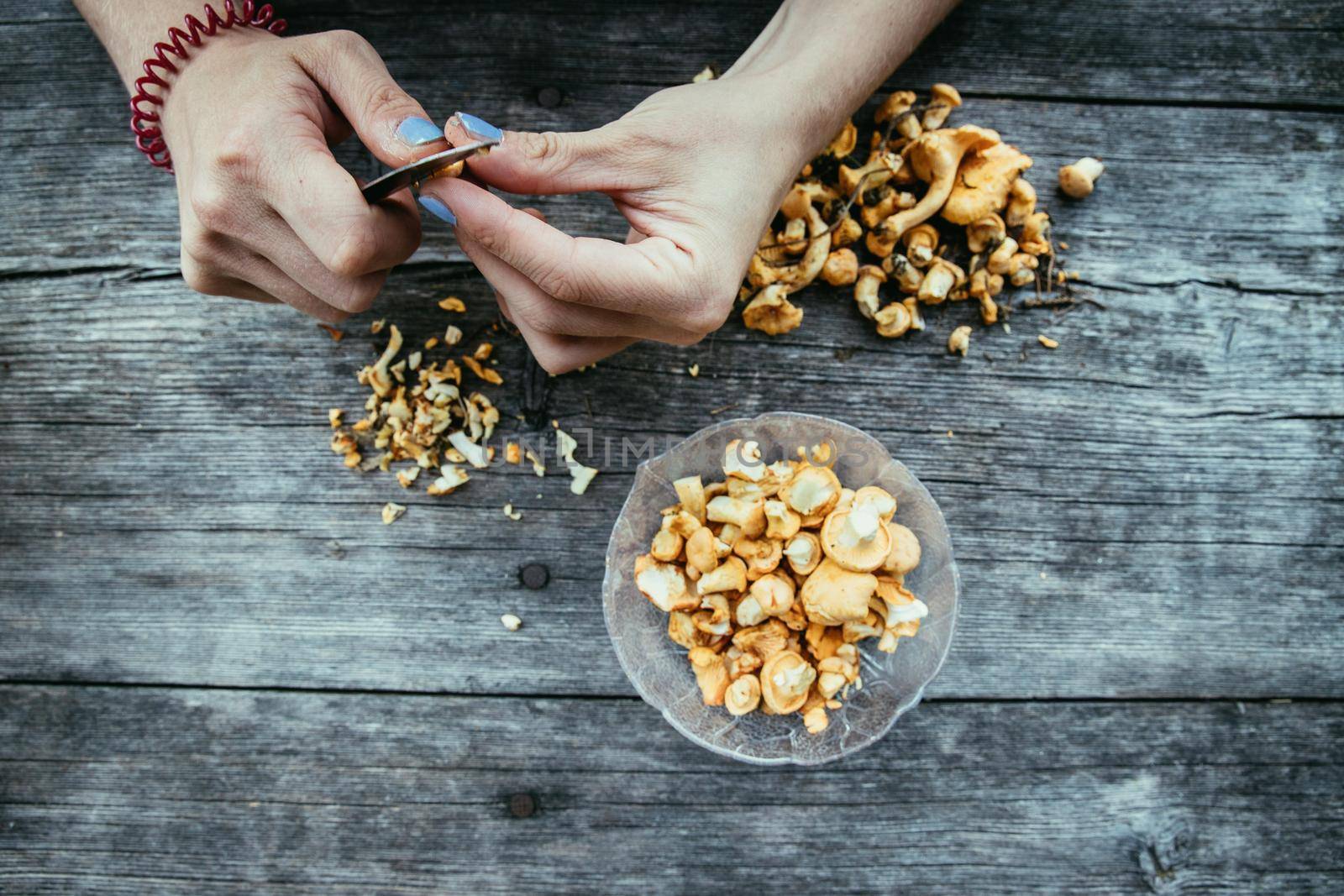 Preparing chanterelle mushrooms on an old rustic wooden table